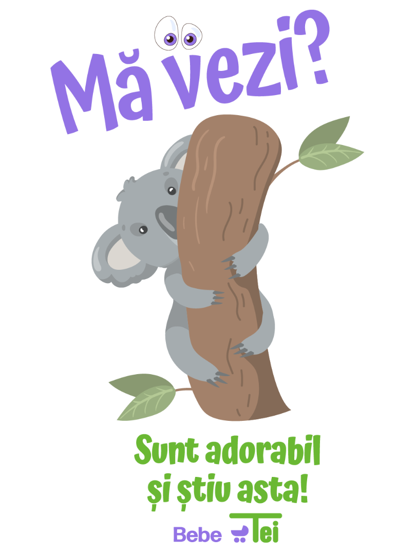 Koala Doing Gymnastics